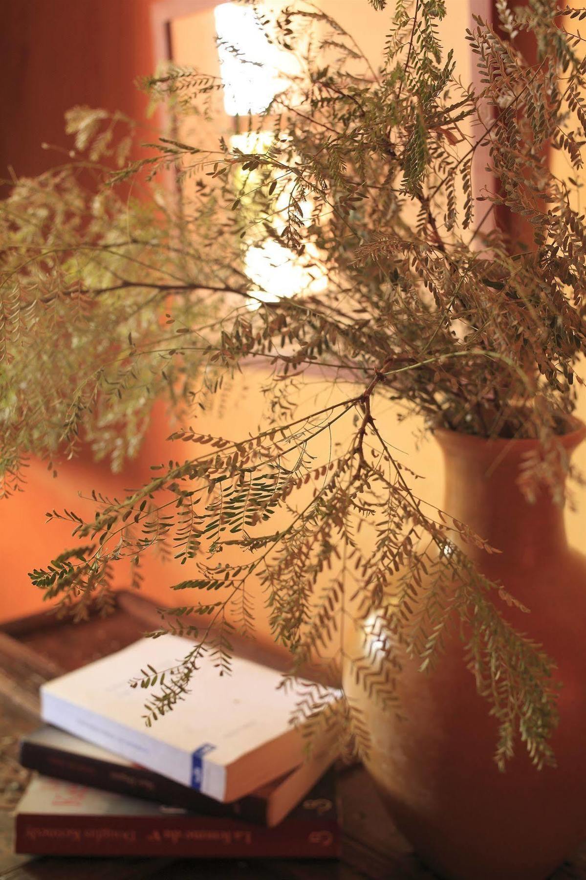 Le Jardin Des Douars Bed & Breakfast Ghazoua Luaran gambar